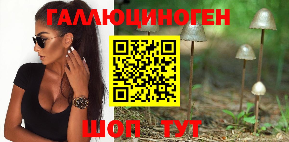 Галлюциногенные грибы Magic Shrooms  Вход с VPN  Галлюциногенные грибы Magic Shrooms  Братск 